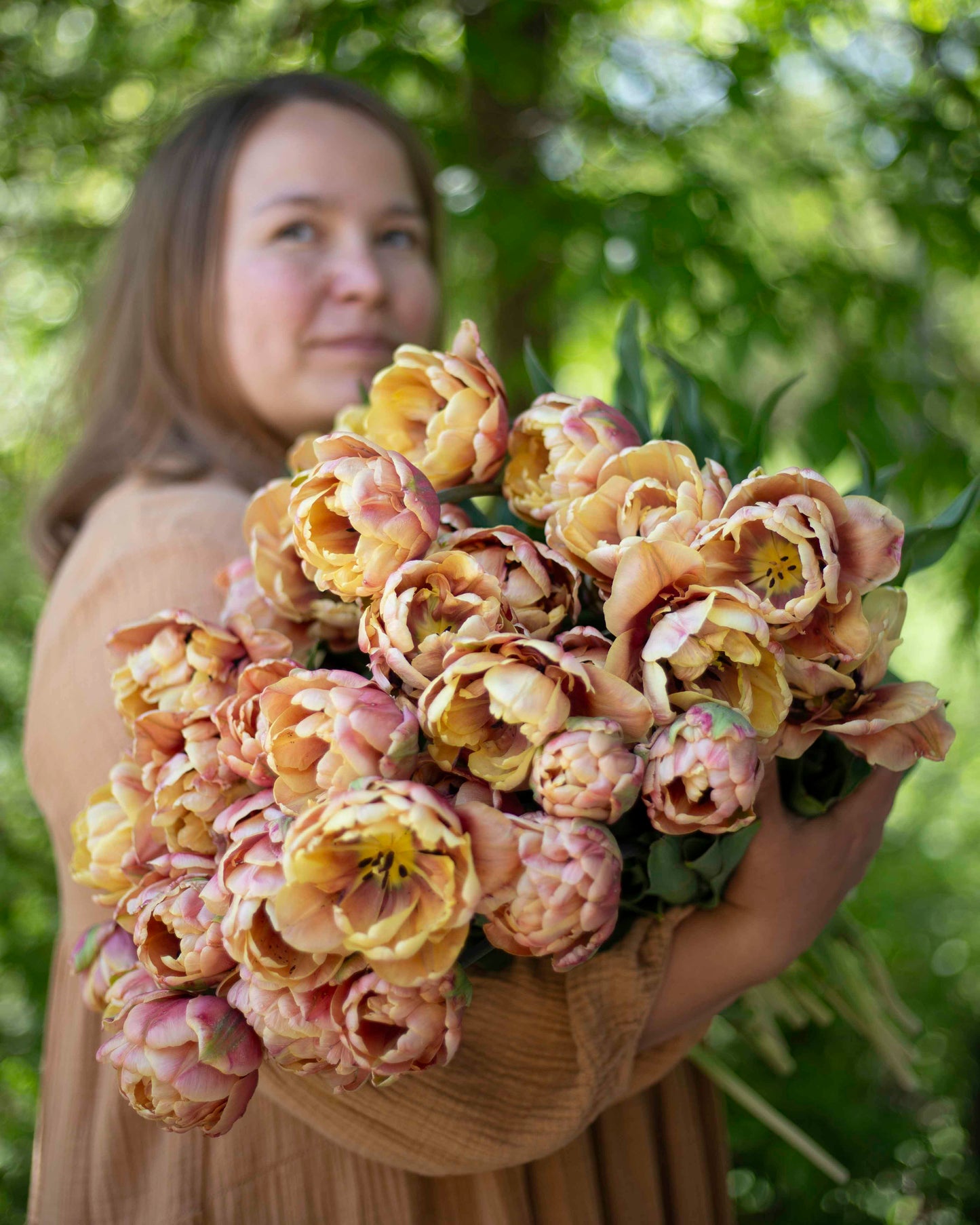 Kerrannainen tulppaani La Belle Epoque