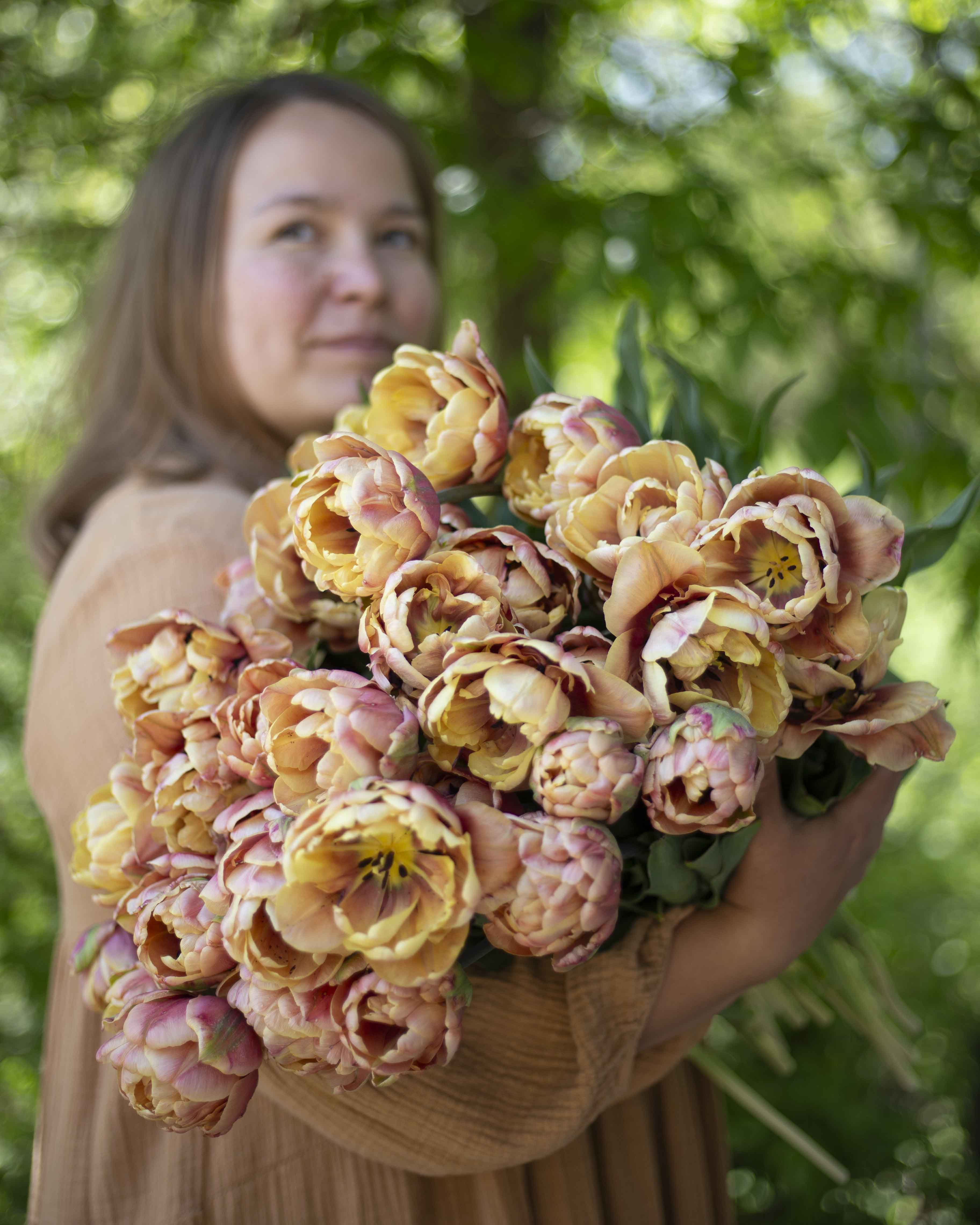 Kerrannainen tulppaani La Belle Epoque