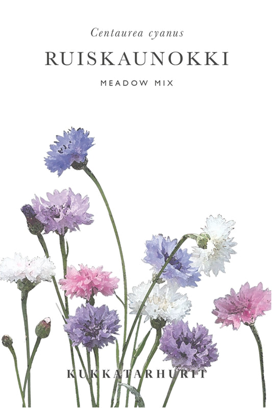 Ruiskaunokki Meadow mix