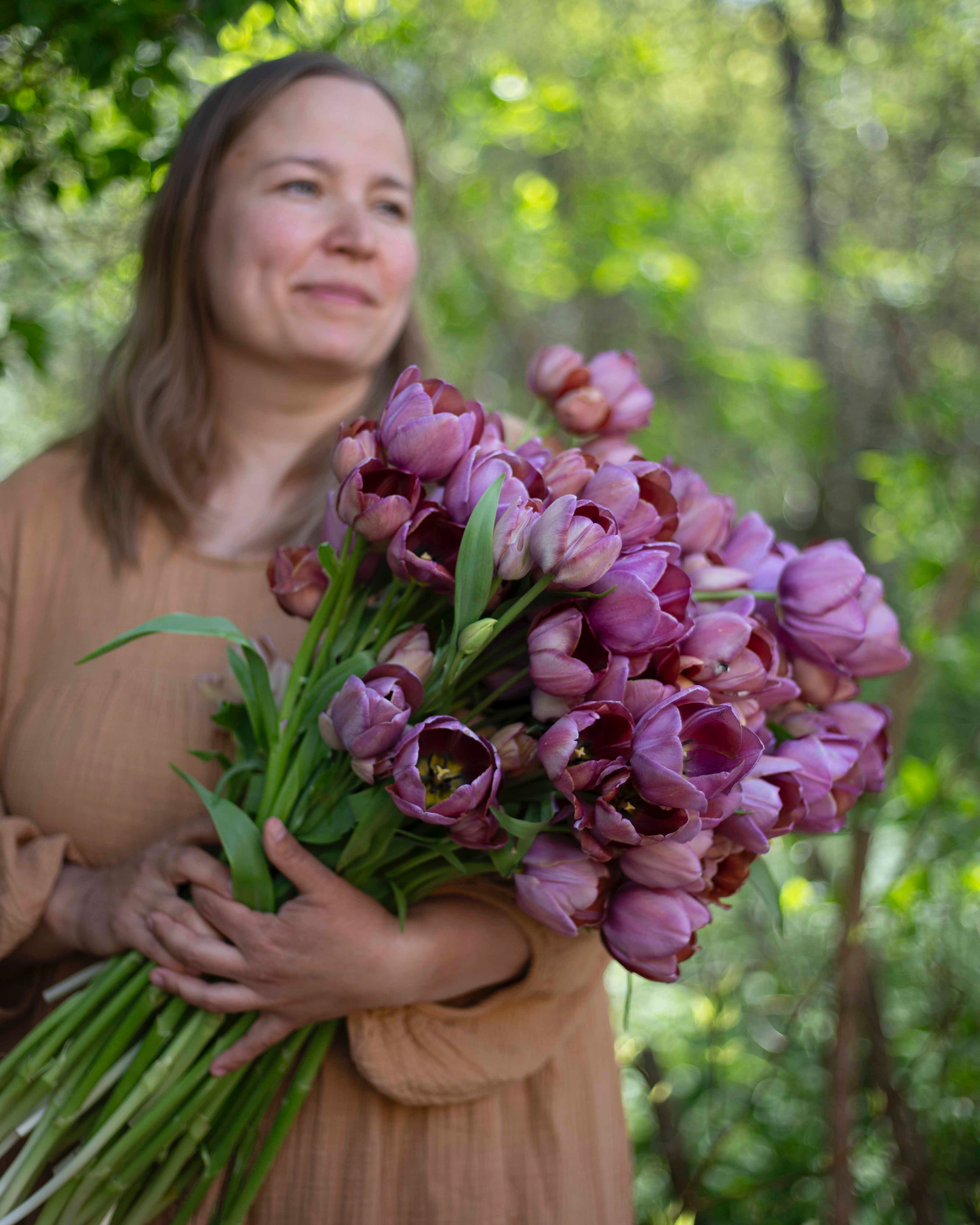 Yksinkertainen tulppaani Blue Heaven