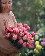 Kerrannainen tulppaani Copper Image