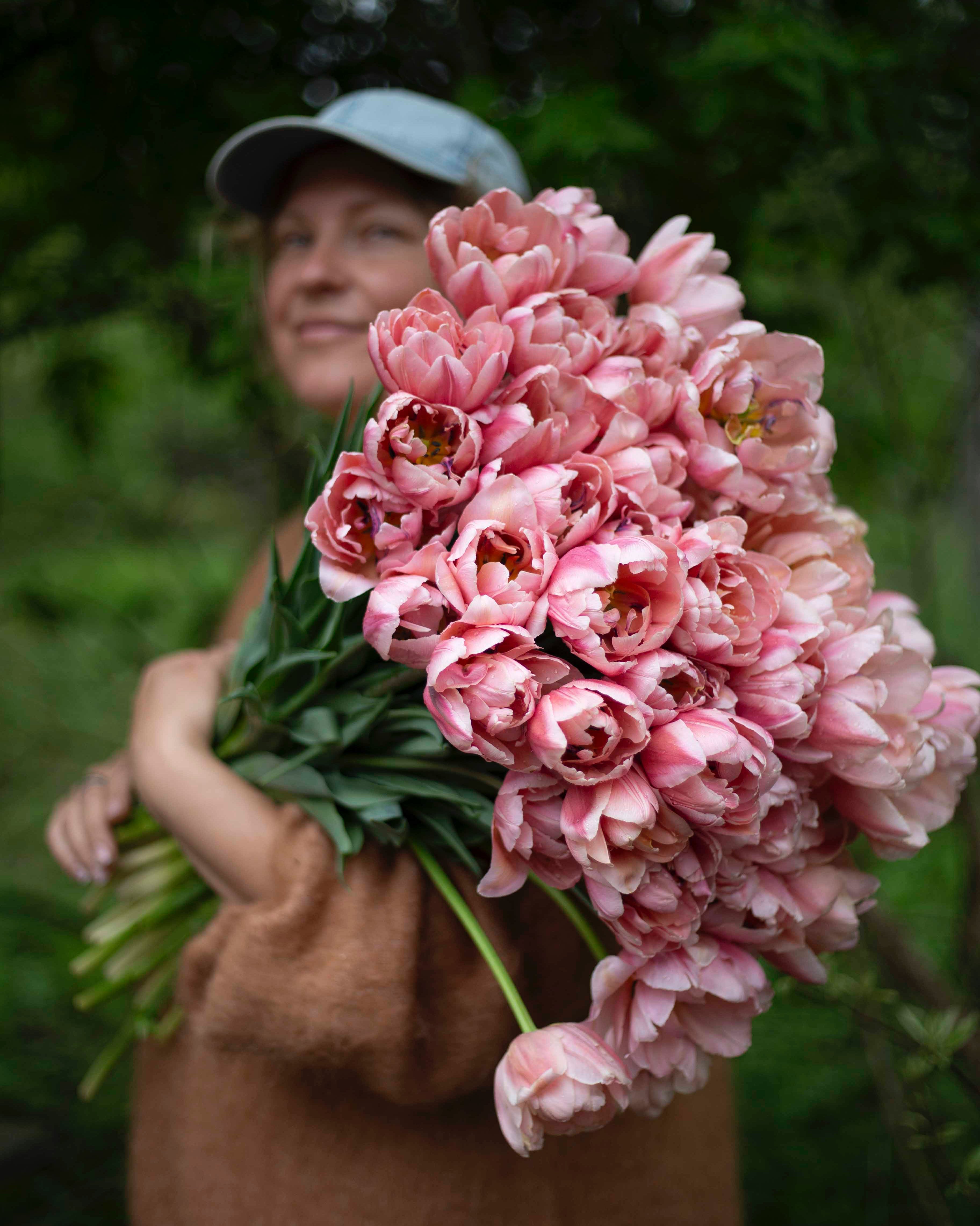 Kerrannainen tulppaani Coral Blush