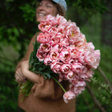 Coral Blush
