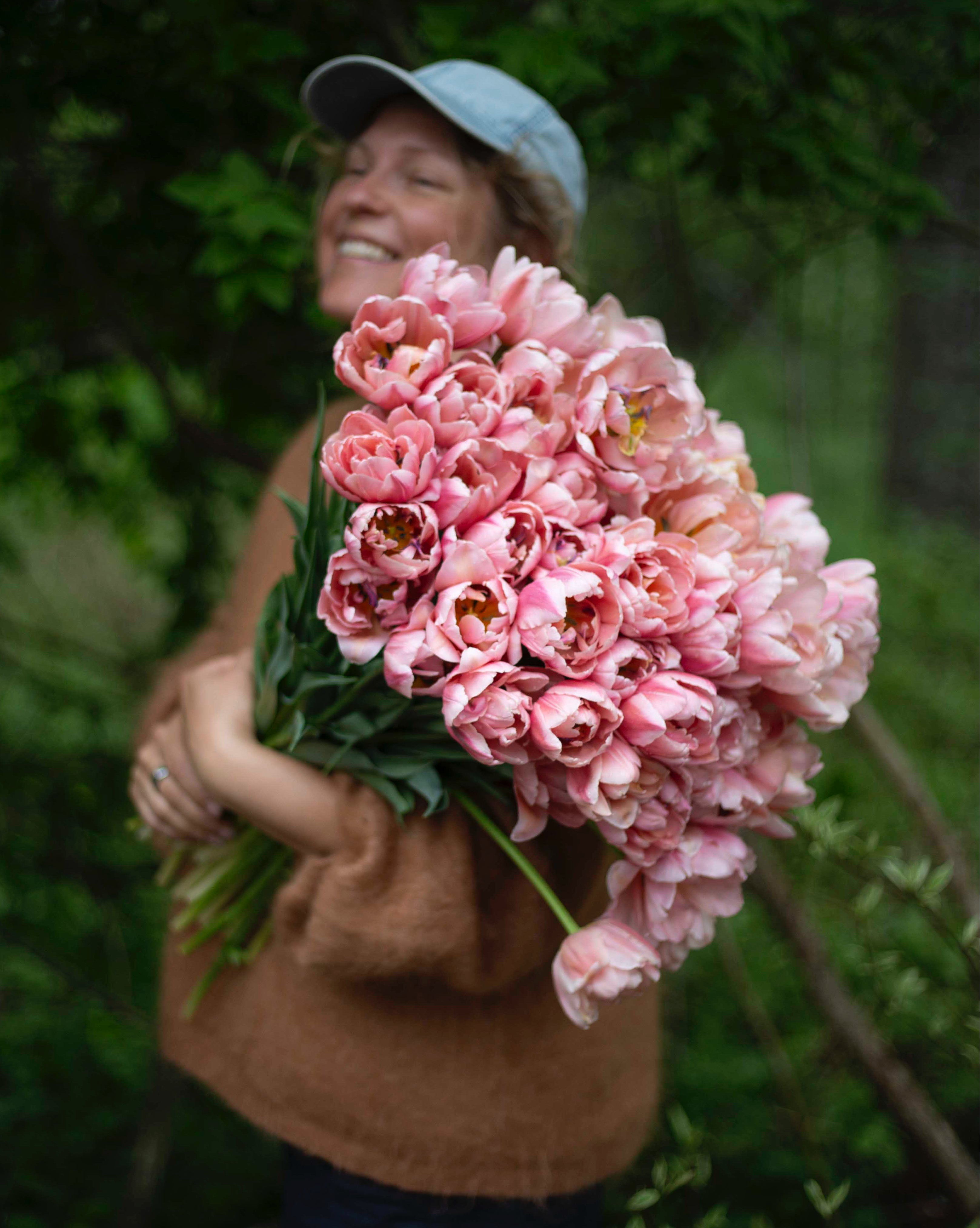 Kerrannainen tulppaani Coral Blush