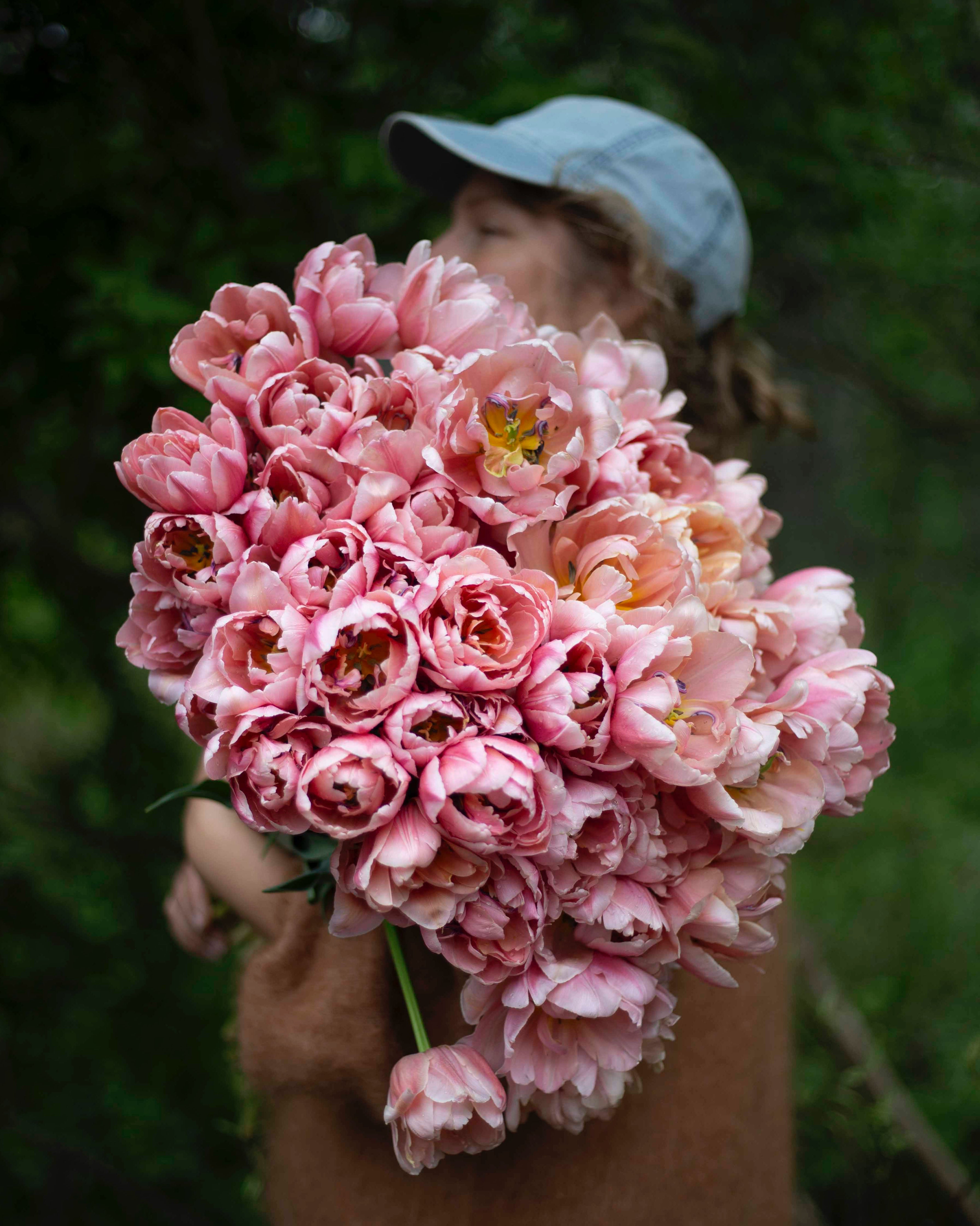 Kerrannainen tulppaani Coral Blush