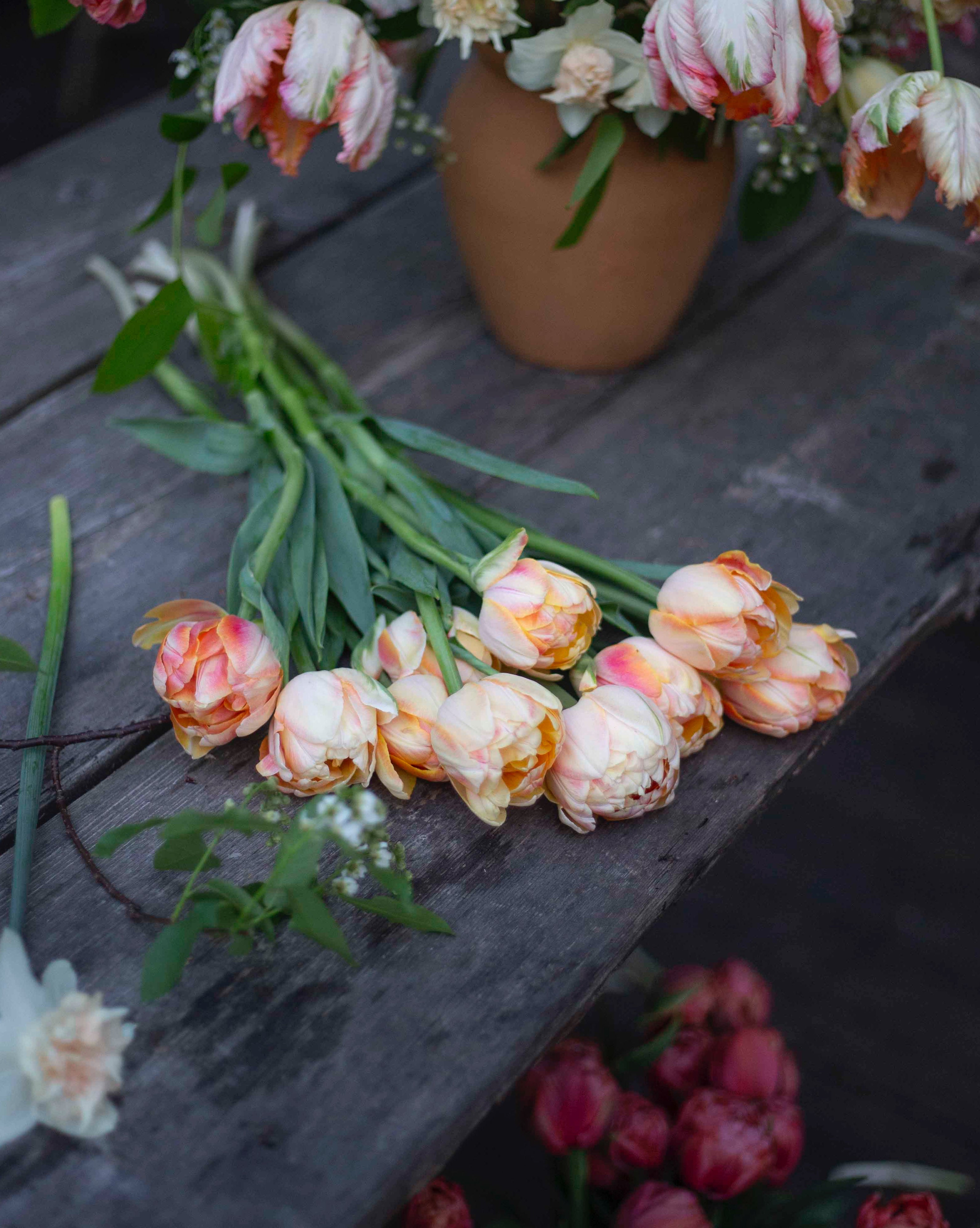 Kerrannainen tulppaani Foxy Foxtrot