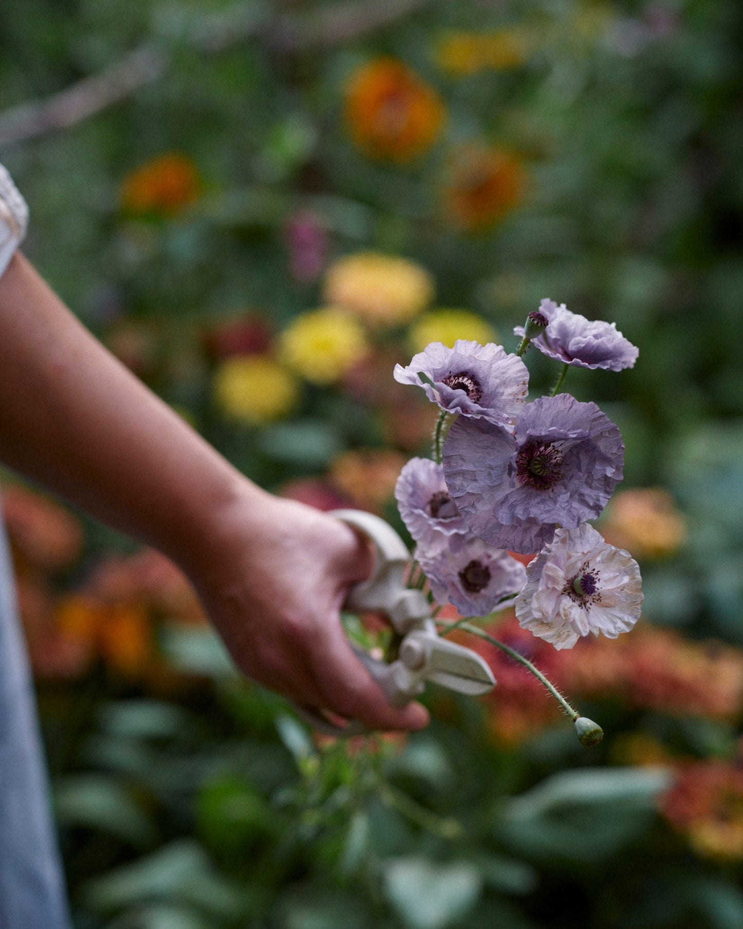 Silkkiunikko Amazing Grey