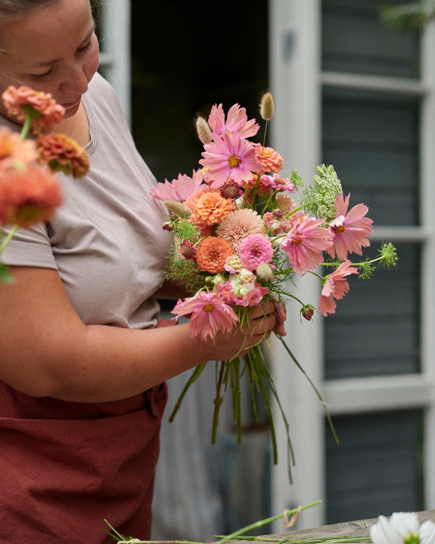 Punakosmos Apricotta