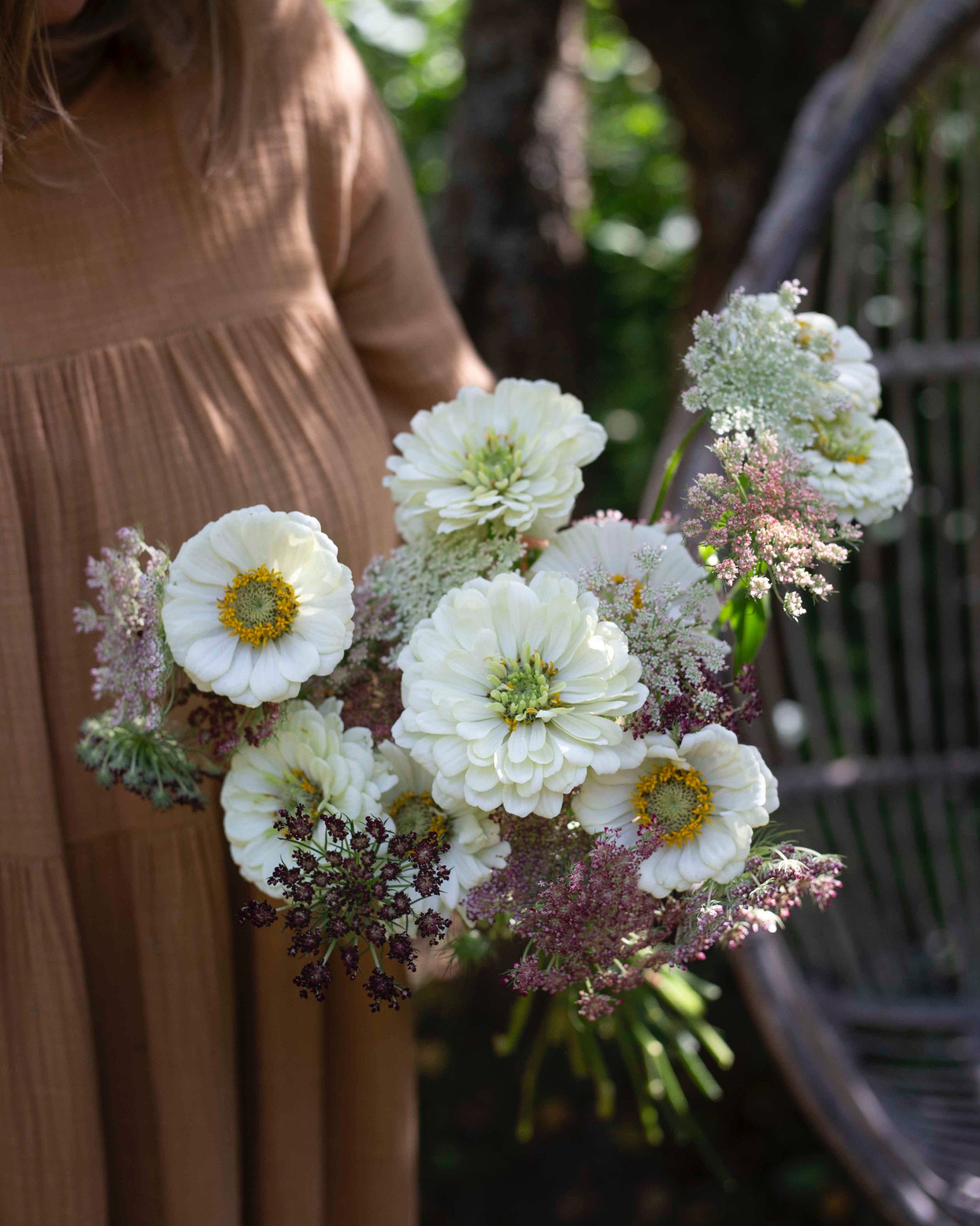 Isotsinnia Benary's Giant White
