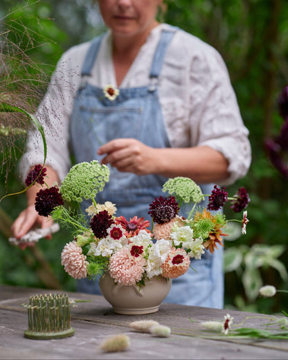 Koreatörmäkukka Black Knight