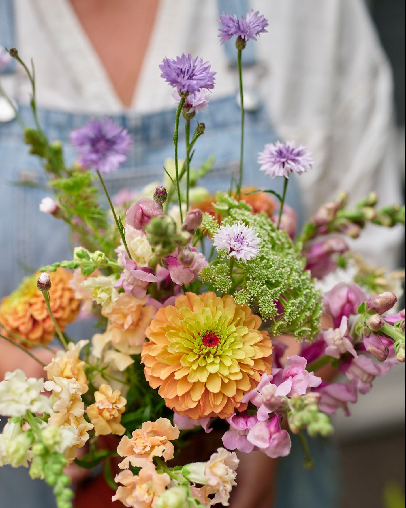 Leijonankita Potomac Lavender