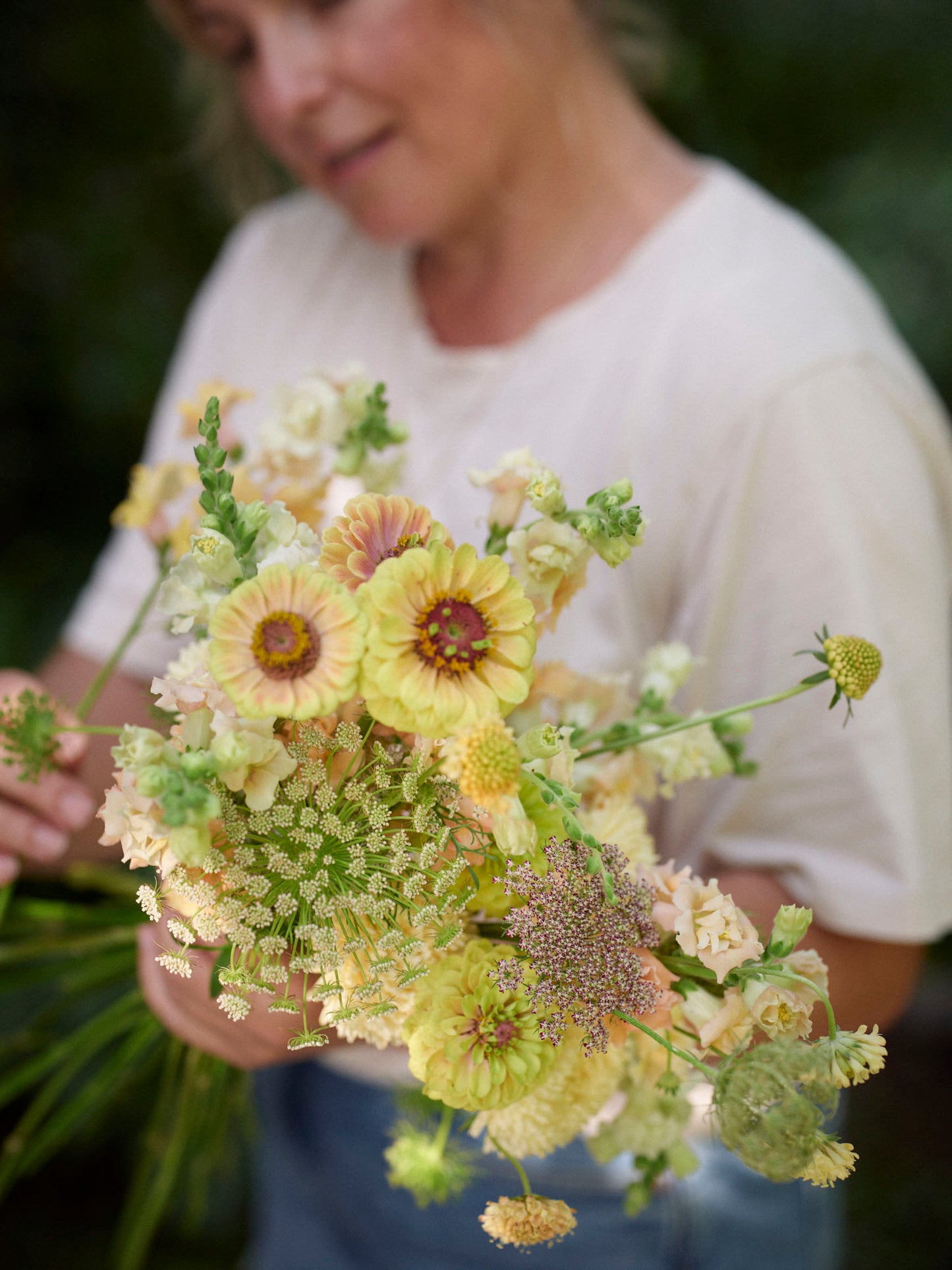 Isotsinnia Queen Lime Blush