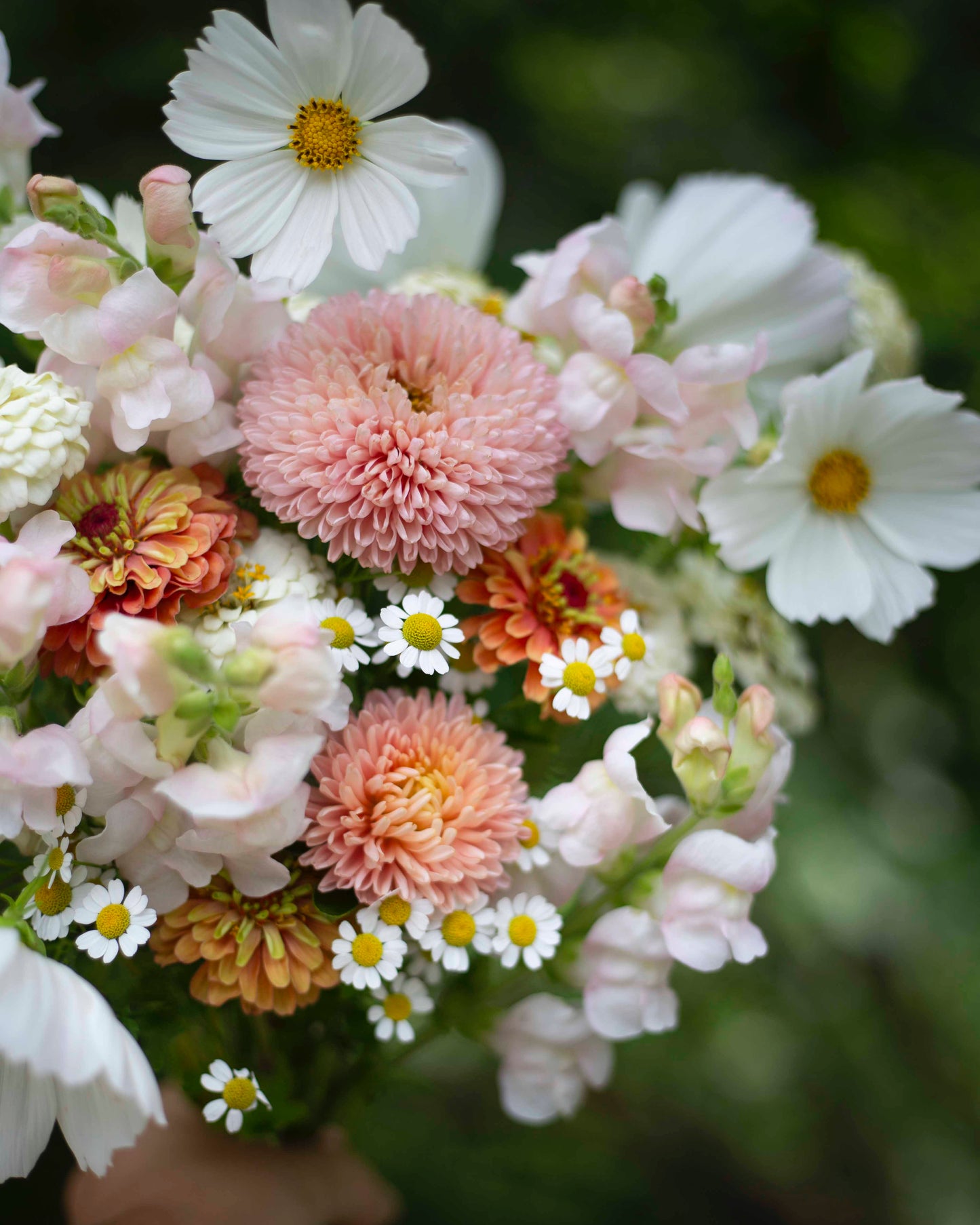 Grow-Along 2026 siemensetti