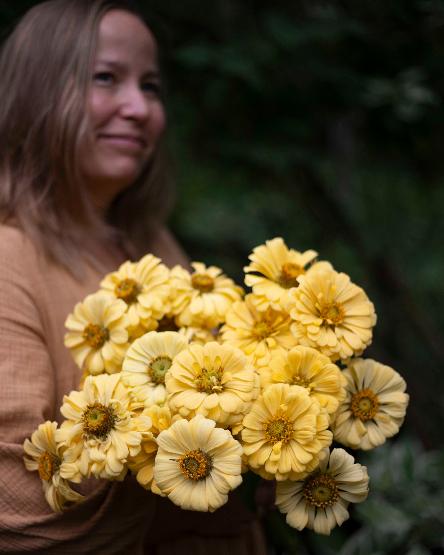 Isotsinnia Isabellina