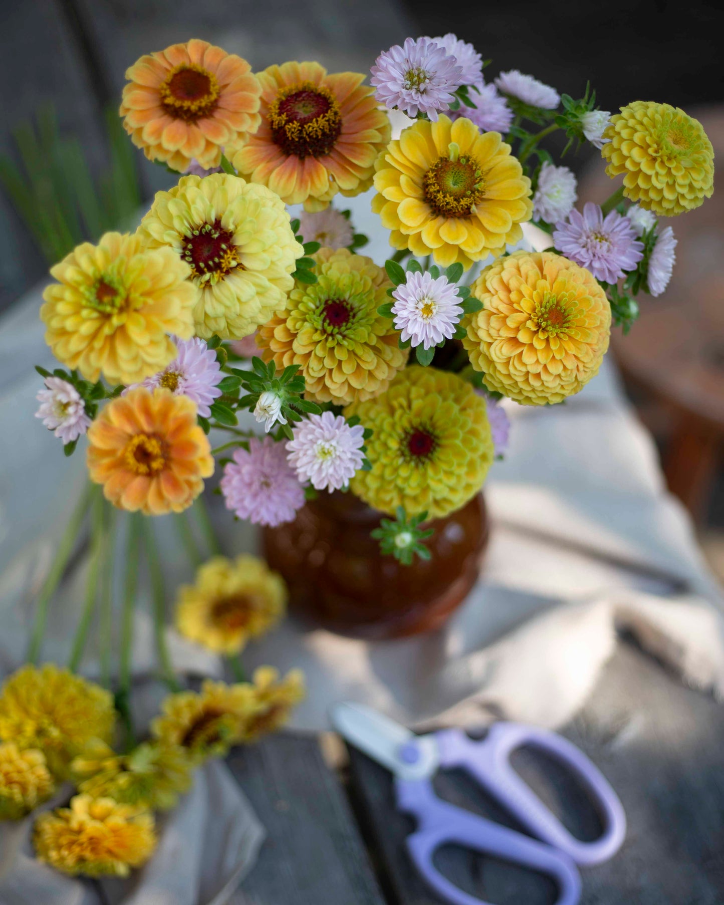 Isotsinnia Queen Lemon Peach