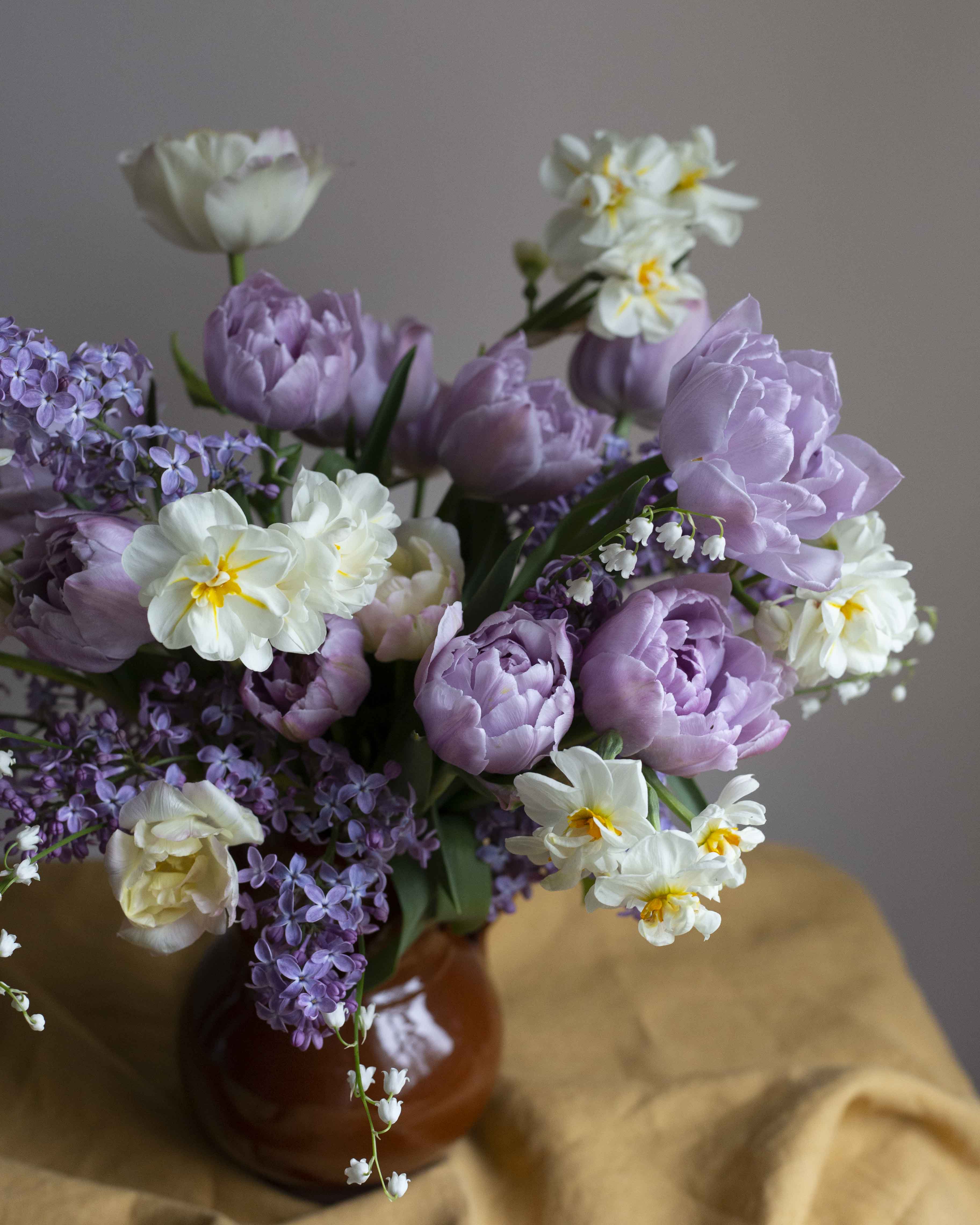 Kerrannainen tulppaani Katinka