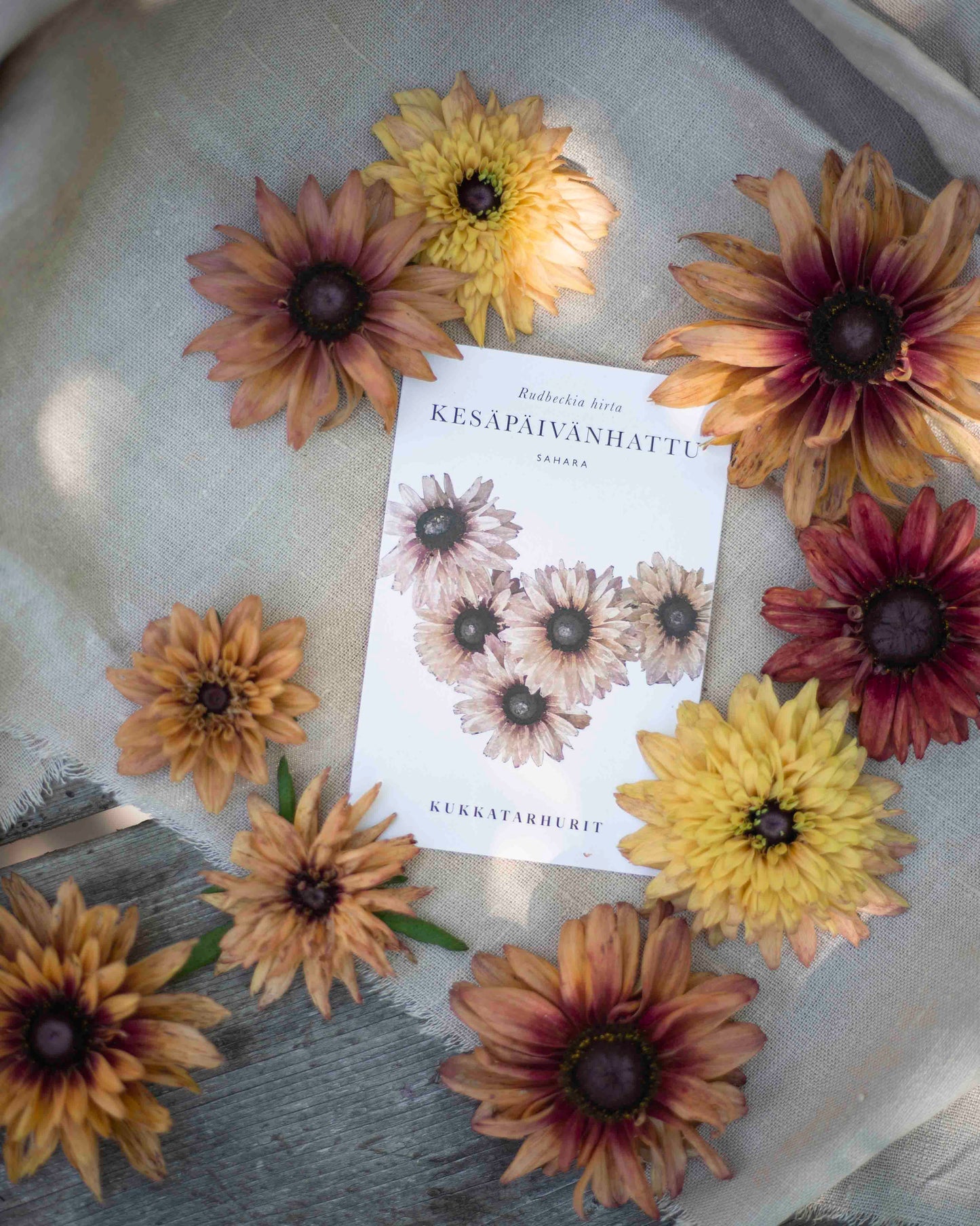 Kesäpäivänhattu Sahara