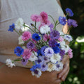 Meadow mix