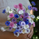 Meadow mix