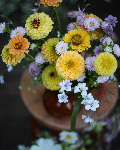 Tarhakukonkannus Fancy Smokey Eyes