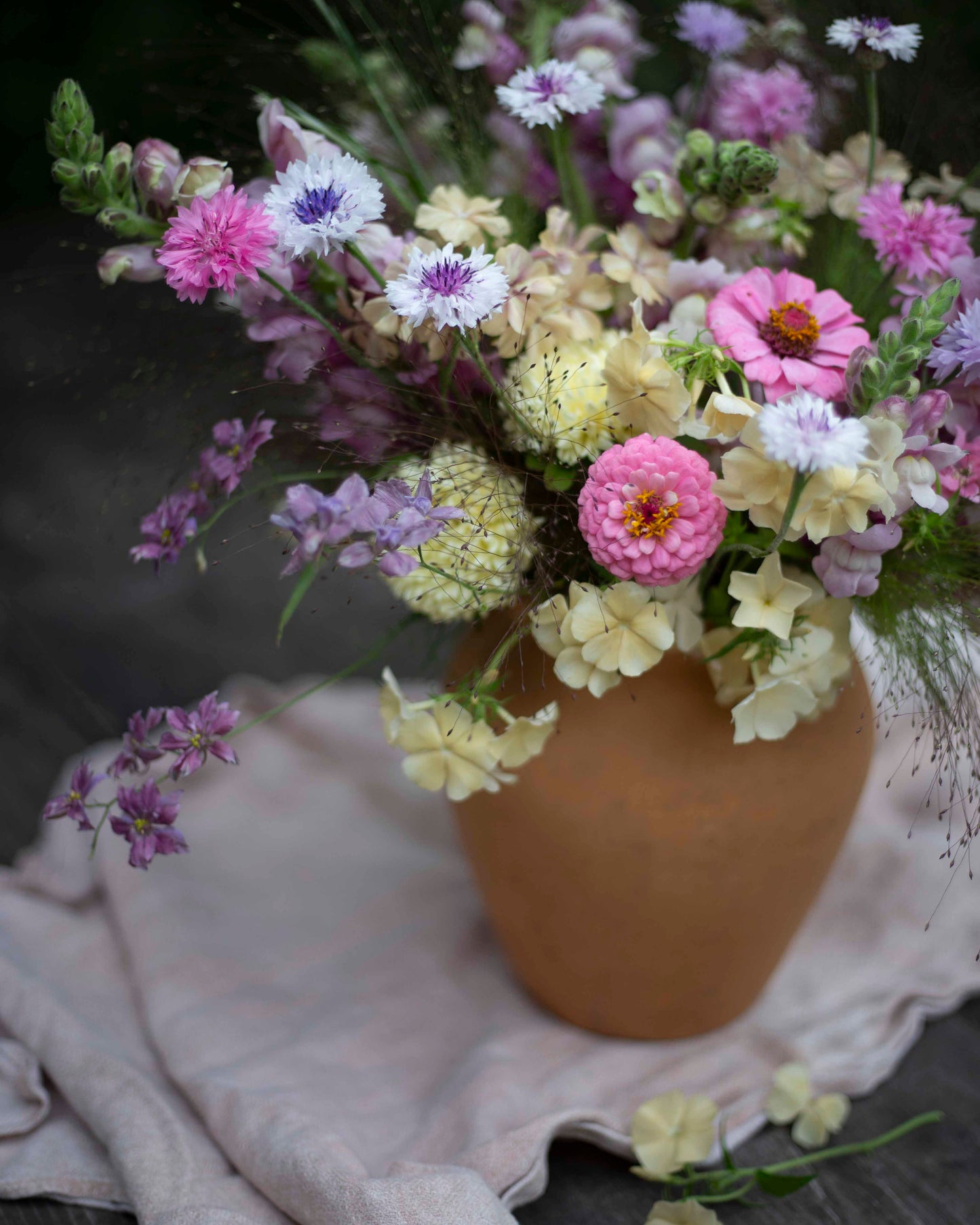 Tarhakukonkannus Misty Lavender