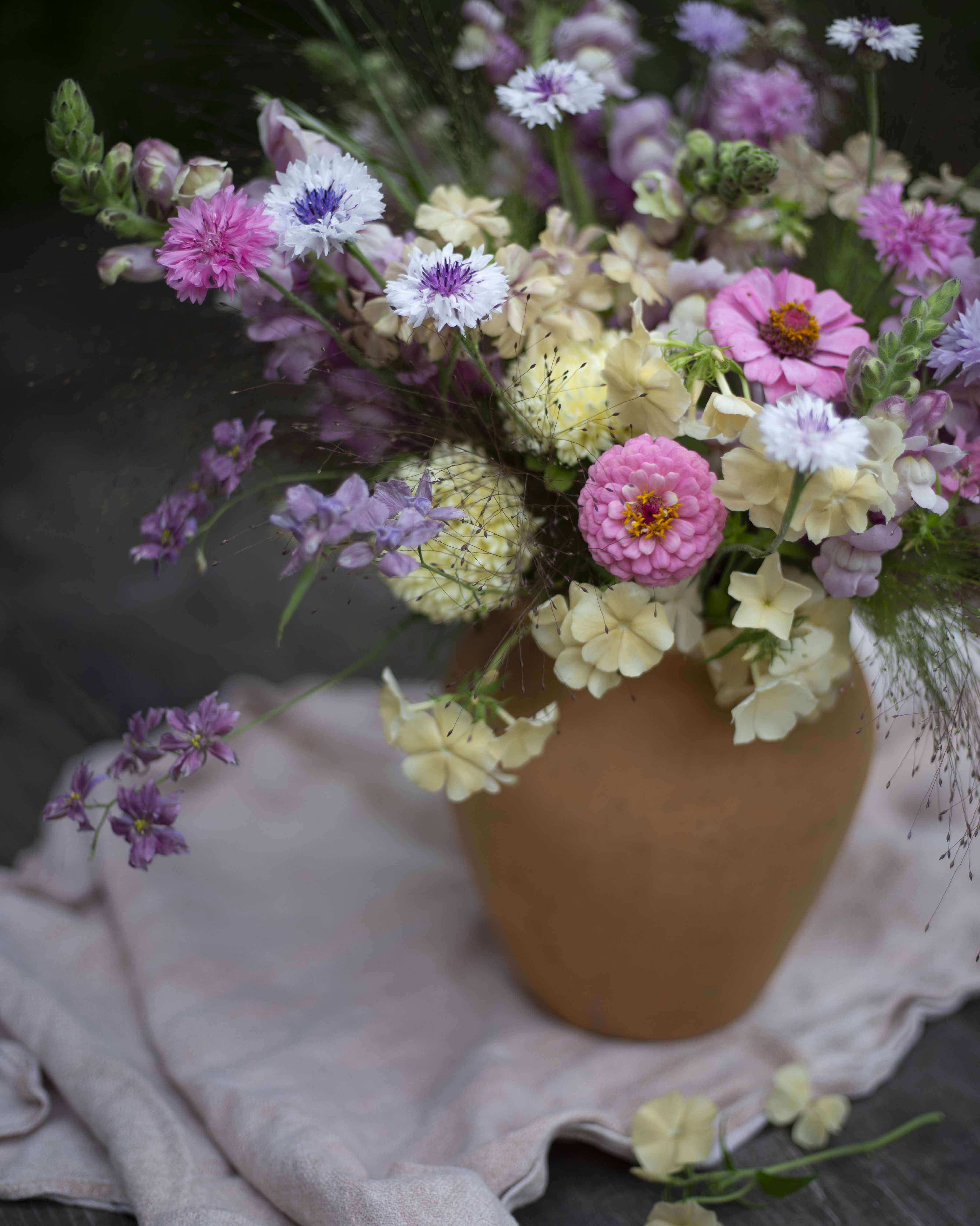 Tarhakukonkannus Misty Lavender