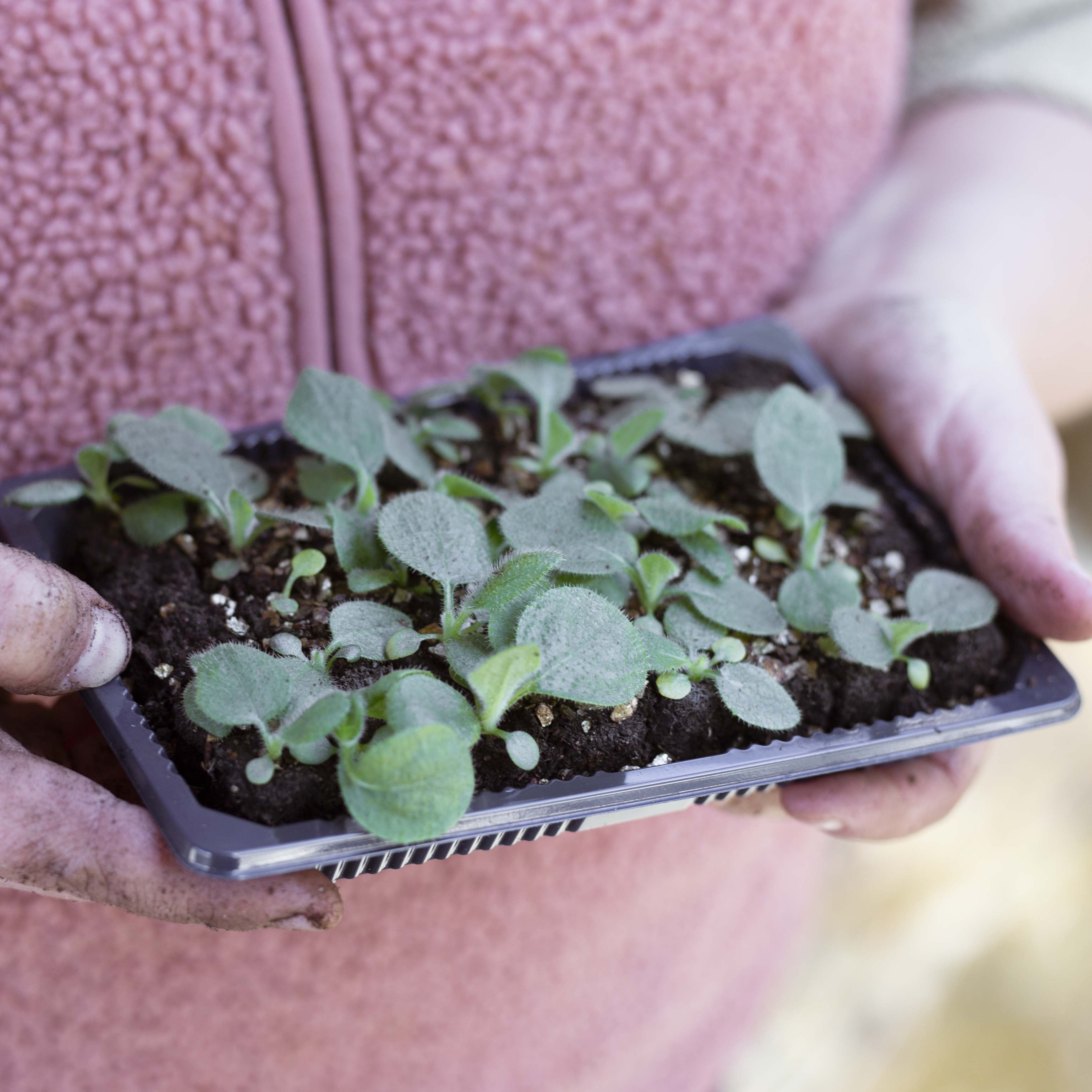 Soil Blocker Micro 20 musta