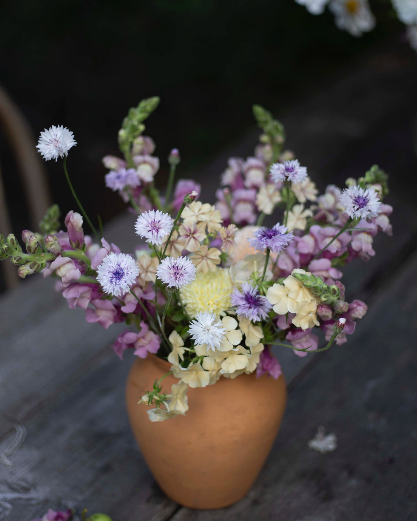 Leijonankita Potomac Lavender