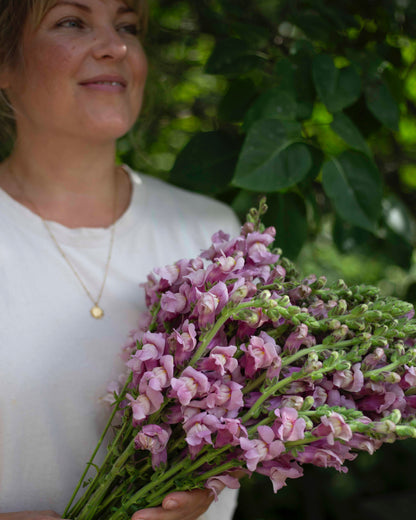 Leijonankita Potomac Lavender
