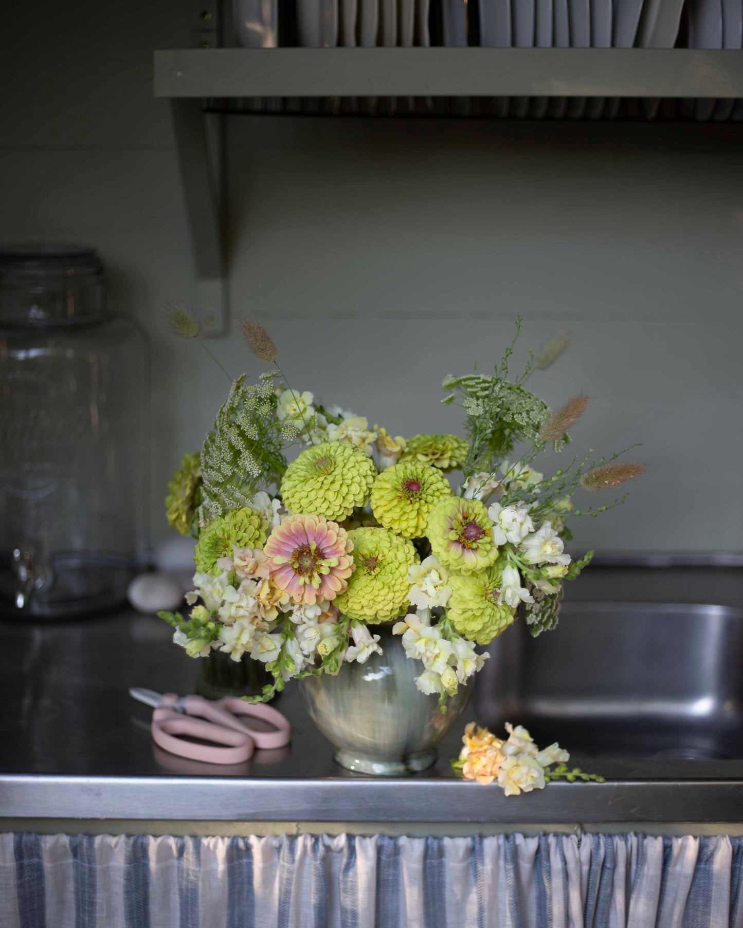 Leijonankita Snapstar Champagne