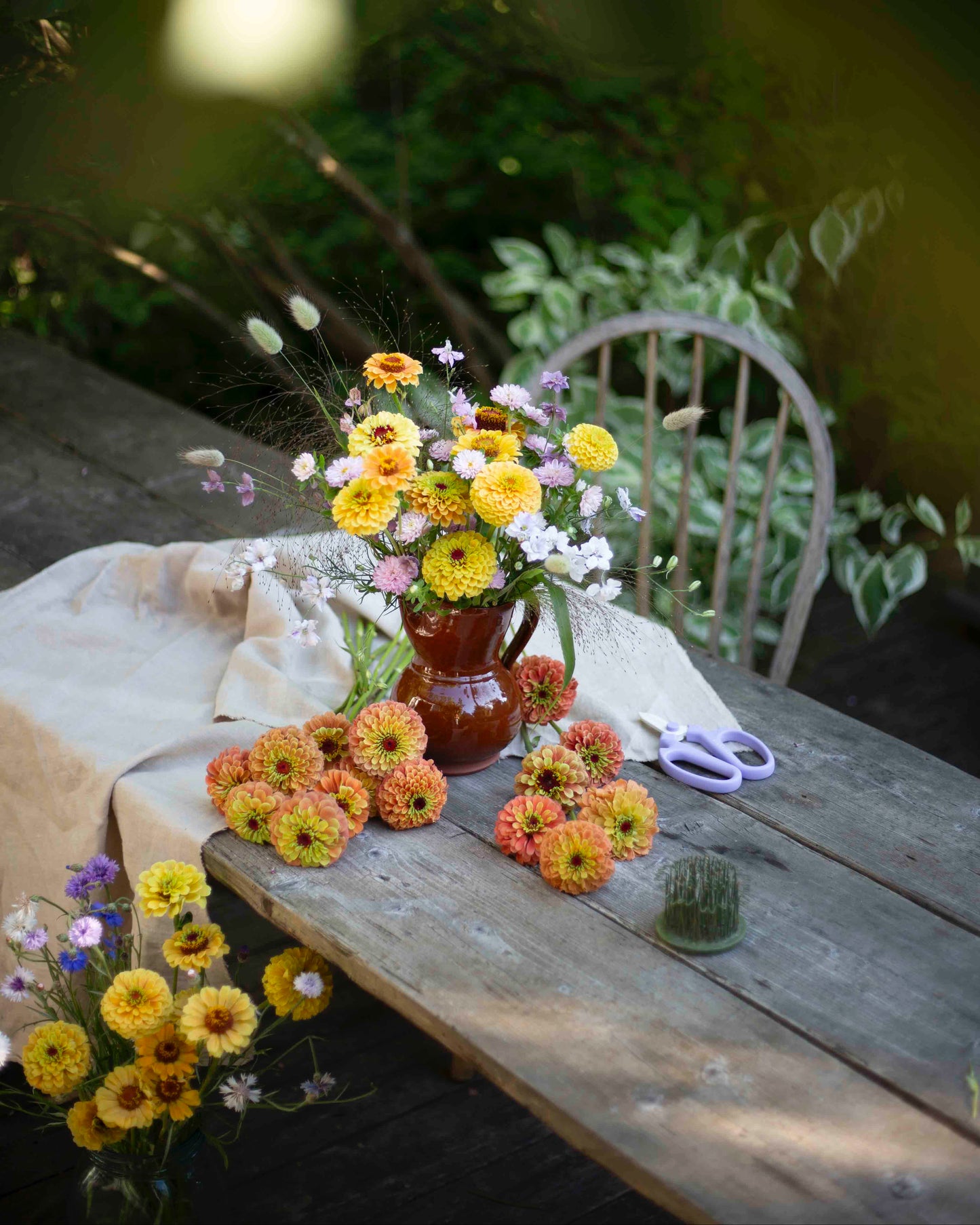 Isotsinnia Queen Lime Orange