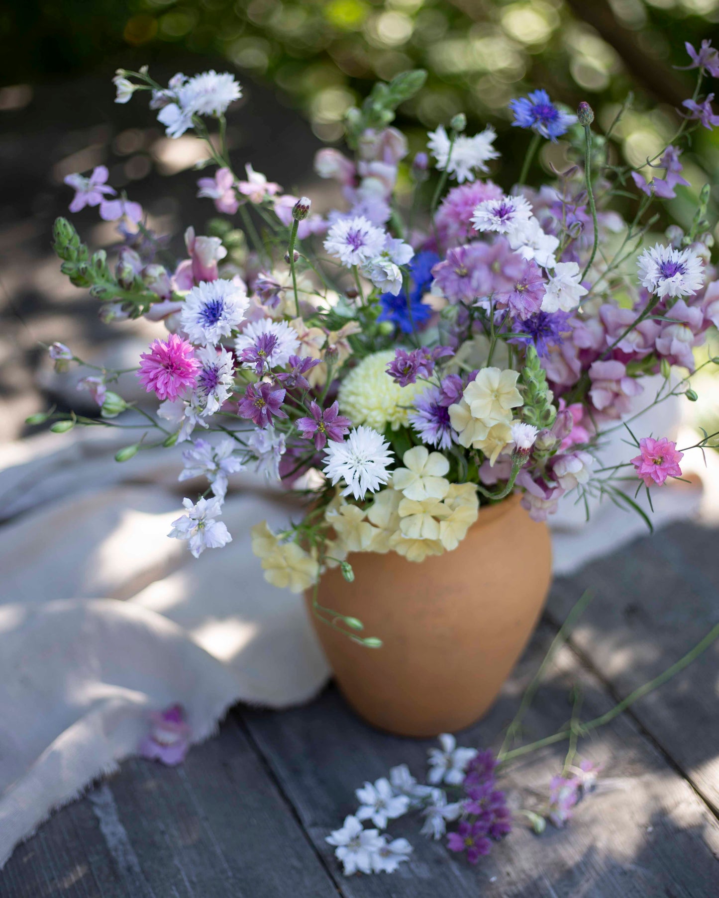 Tarhakukonkannus Misty Lavender