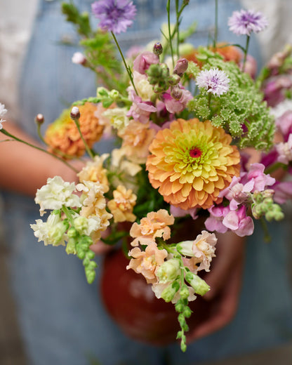 Leijonankita Snapstar Champagne