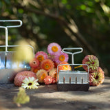 Micro 20