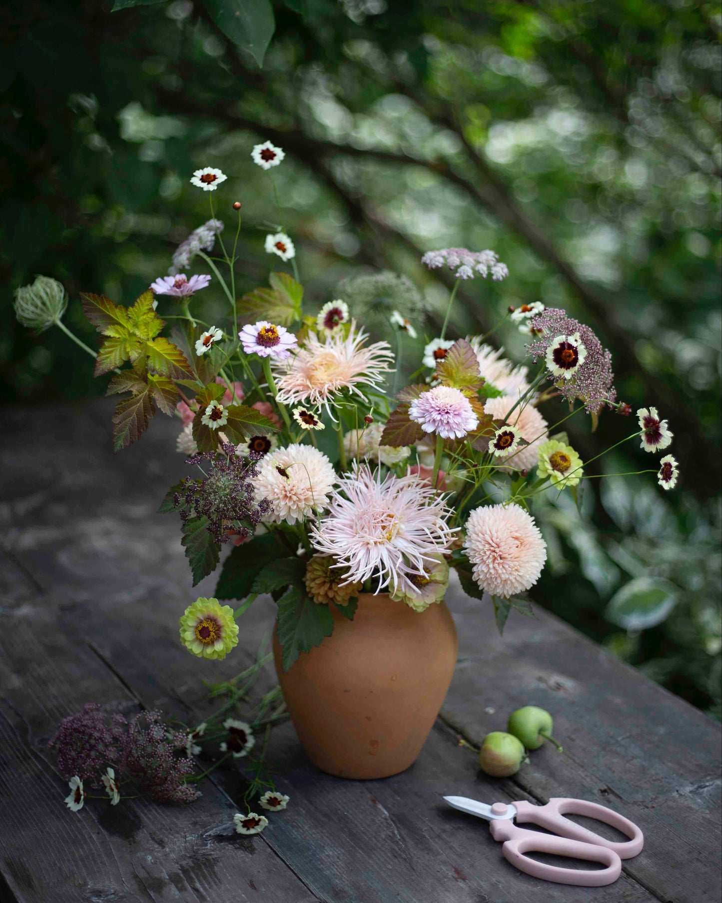 Tiikerikaunosilmä Incredible! Swirl