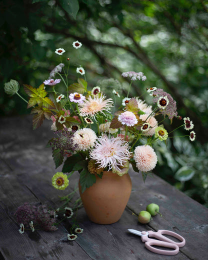 Tiikerikaunosilmä Incredible! Swirl