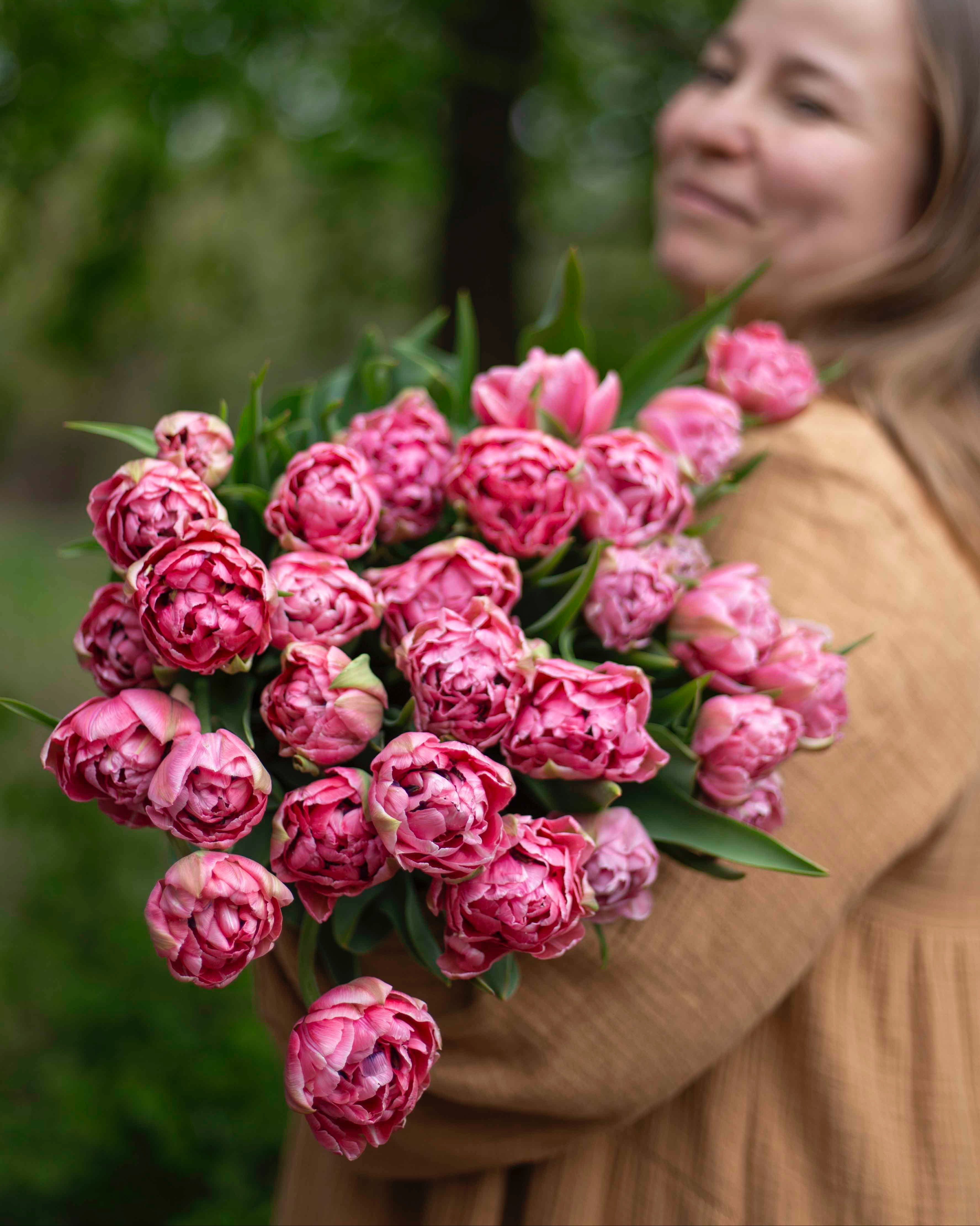 Kerrannainen tulppaani Aveyron