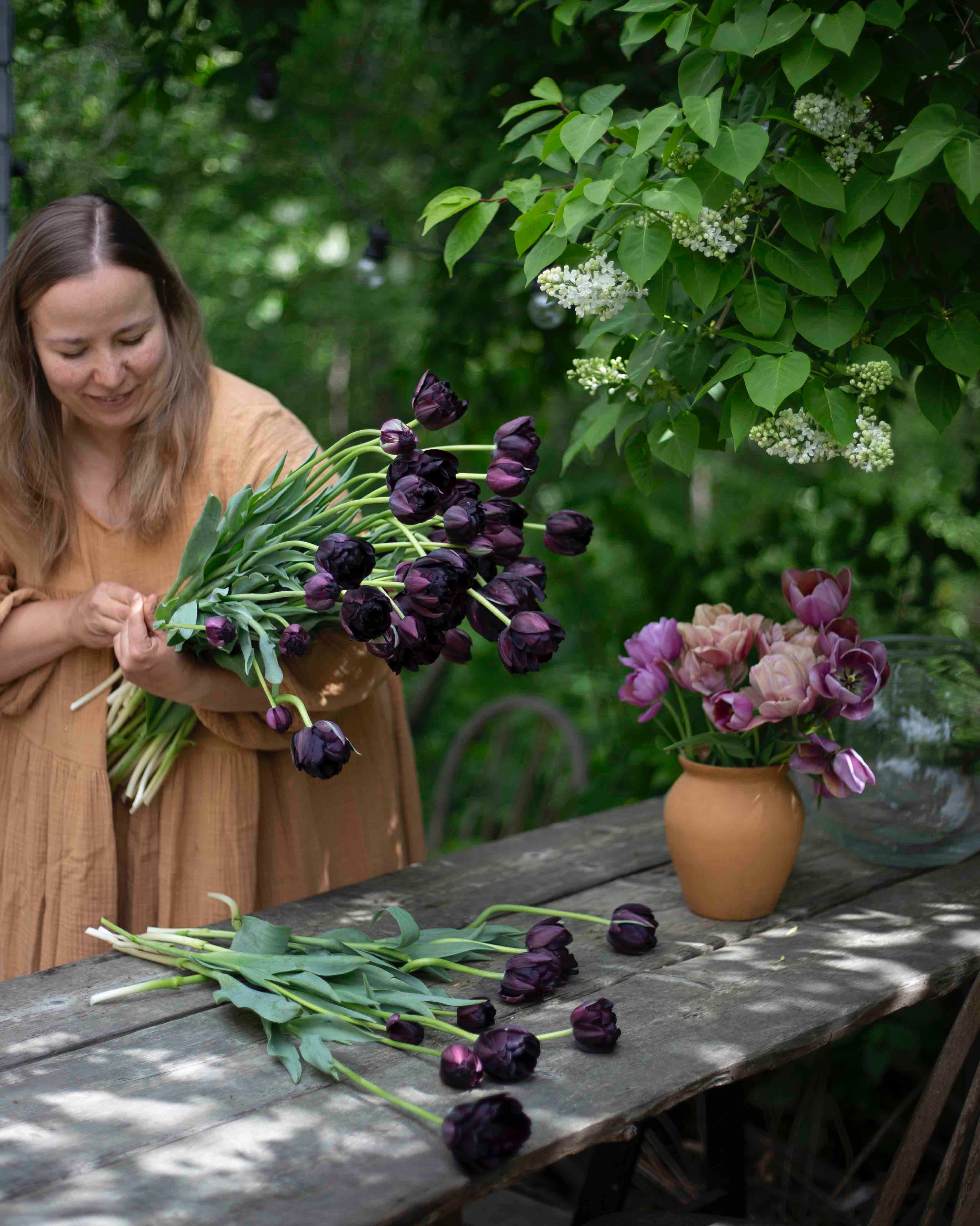 Kerrannainen tulppaani Black Hero