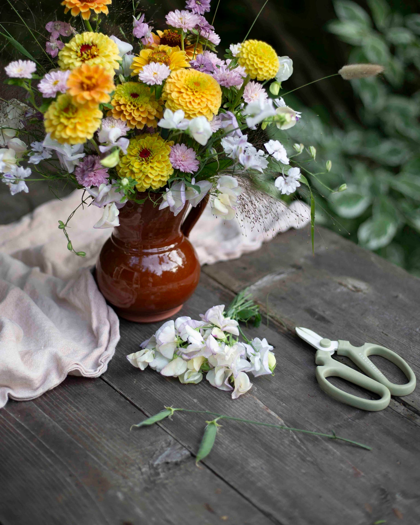 Tuoksuherne Spencer Old Times