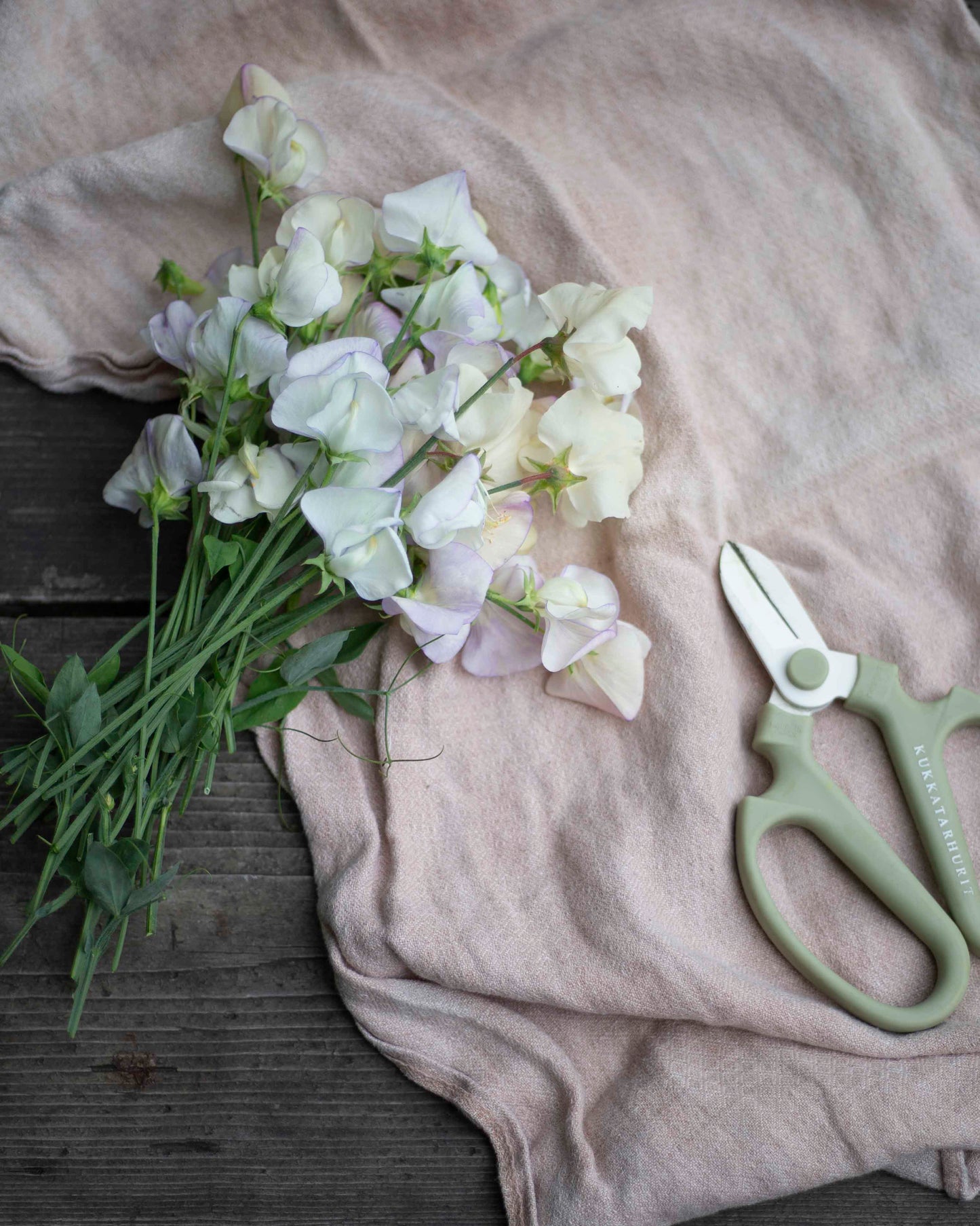 Tuoksuherne Spencer Old Times