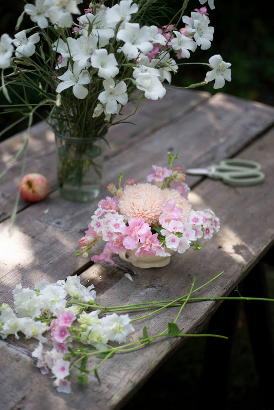 Kesäleimu Blushing Bride