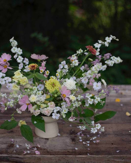 Tarhakukonkannus Qis® White