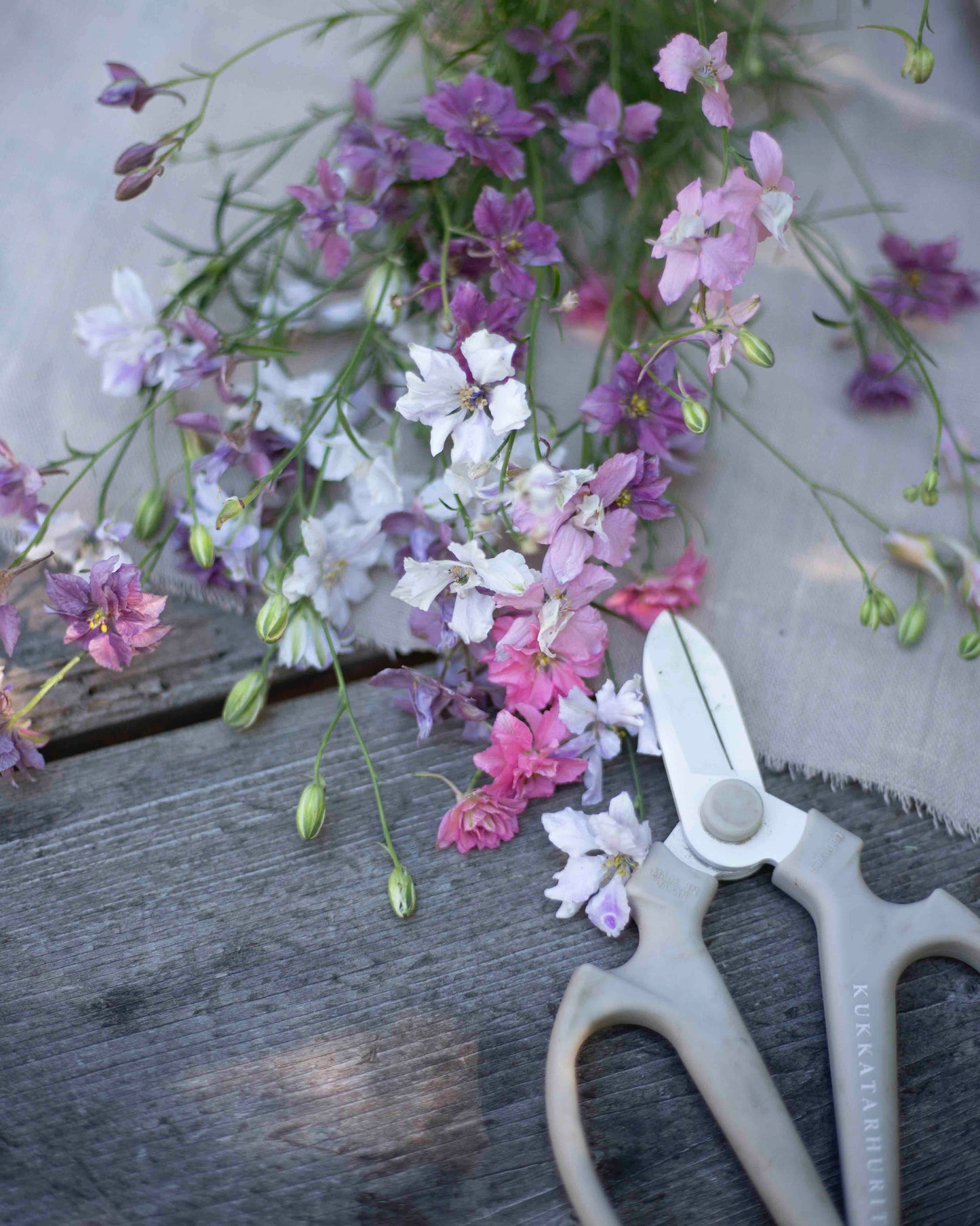 Tarhakukonkannus Winter Sky Medley