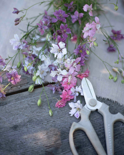 Tarhakukonkannus Winter Sky Medley
