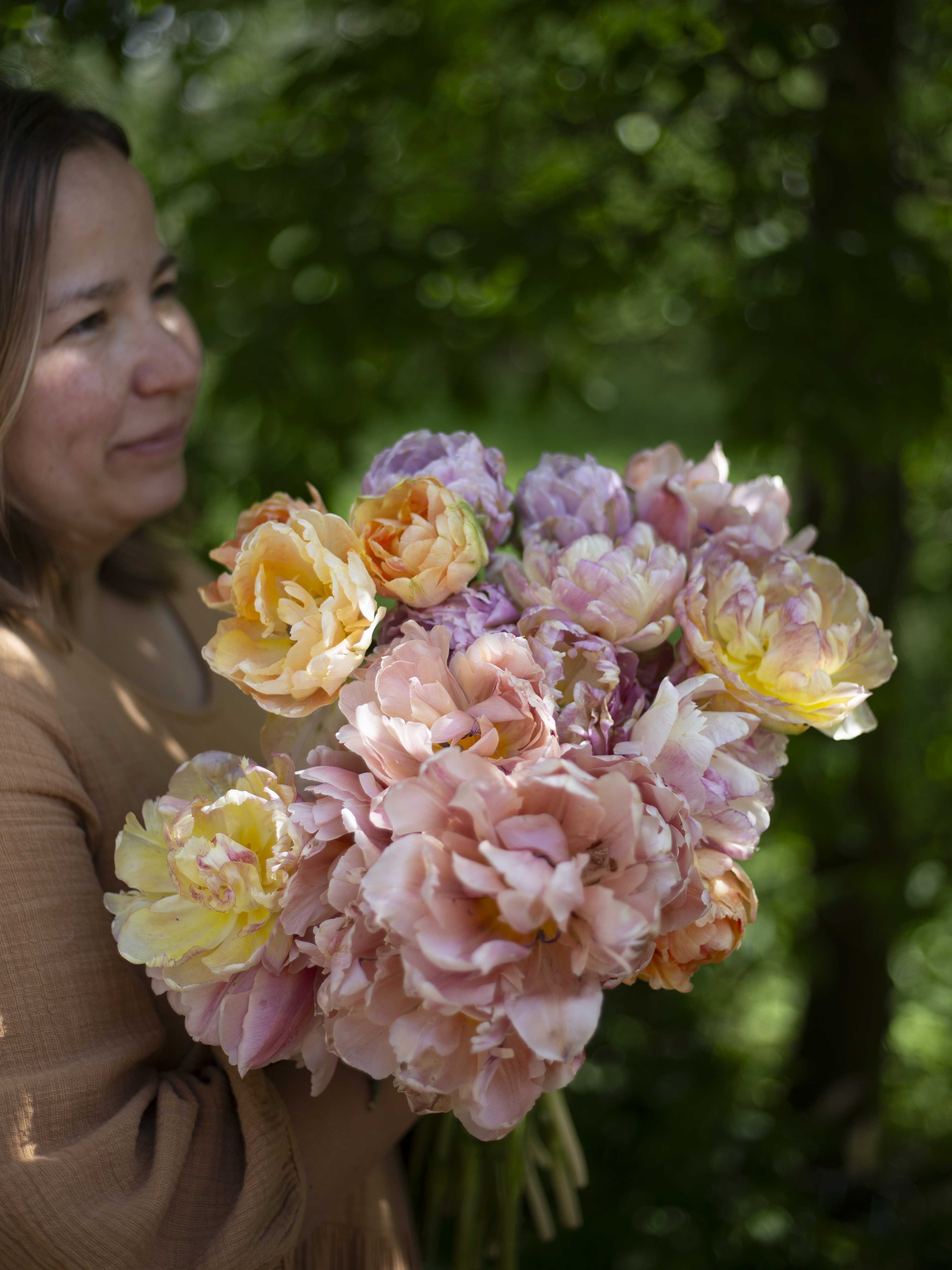 Kerrannainen tulppaani Coral Blush