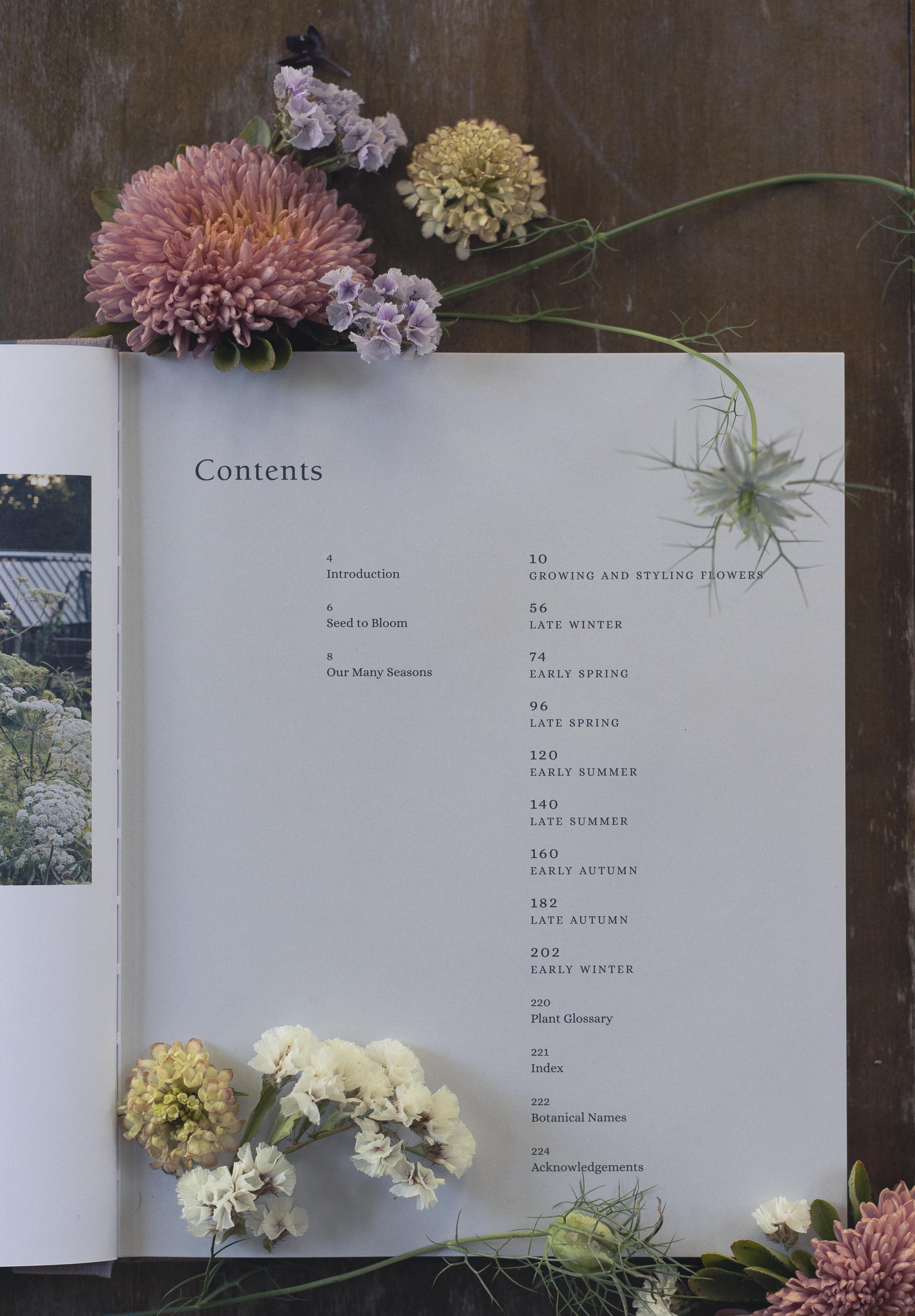 Milli Proust - From Seed to Bloom