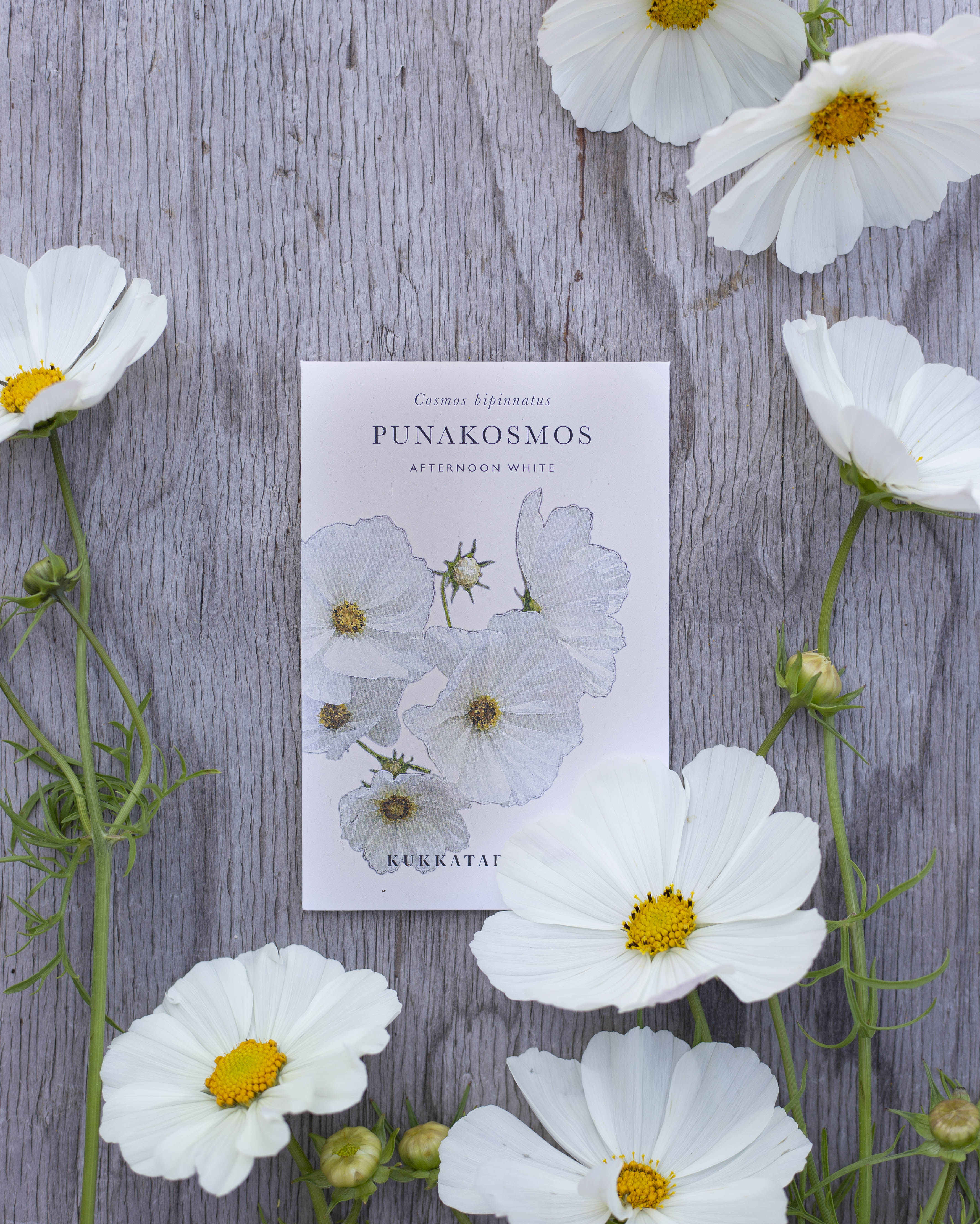 Punakosmos Afternoon White