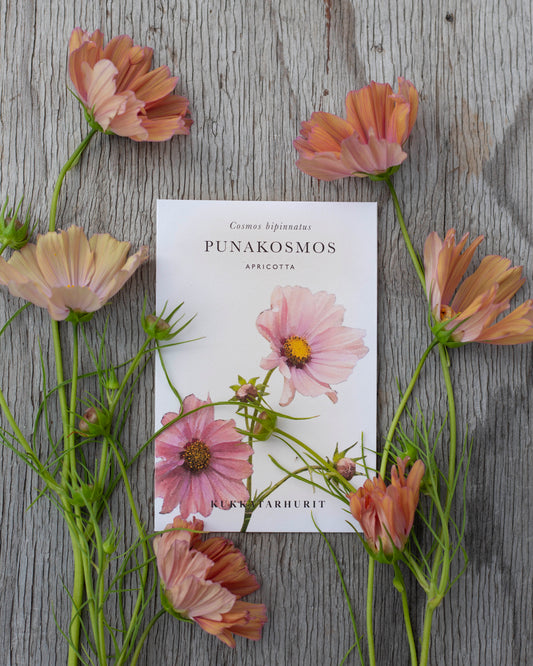 Punakosmos Apricotta