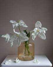 Papukaijatulppaani Super Parrot